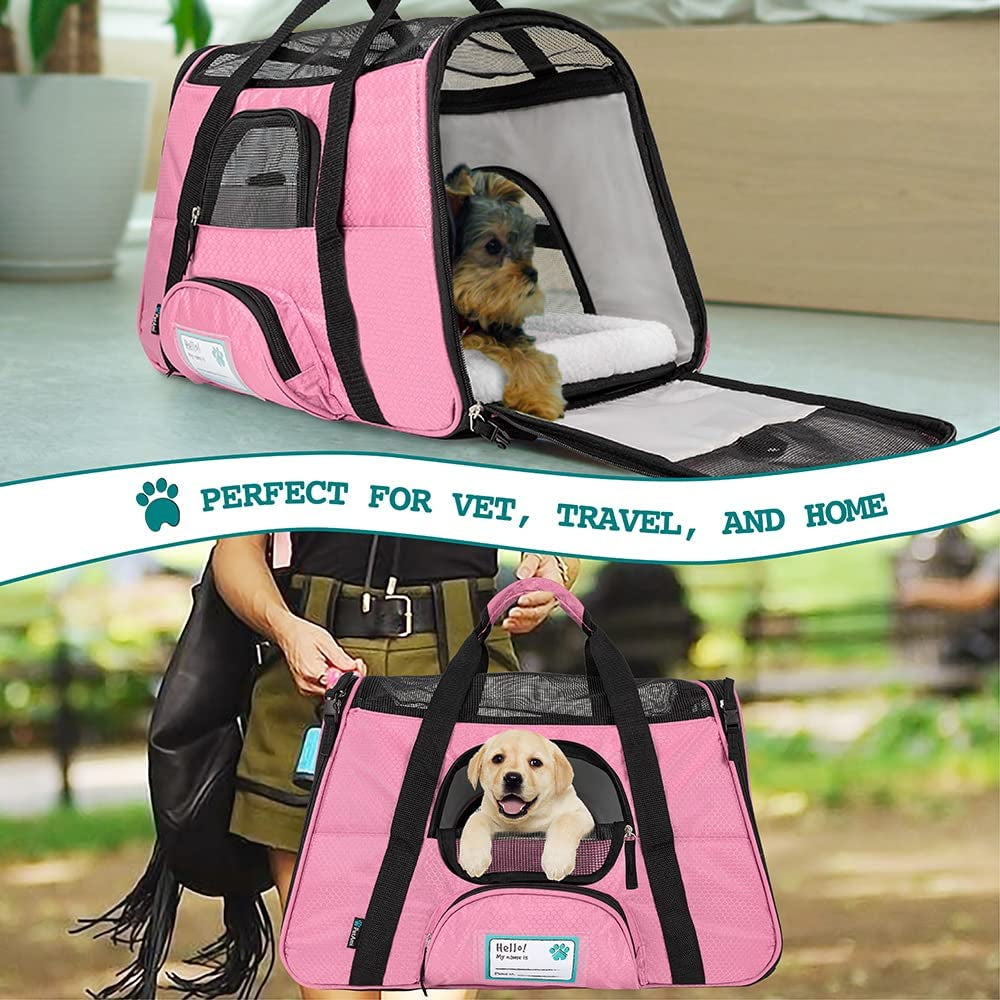 Airline Approved Pet Carrier